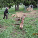 Cleaning out the horse pen
