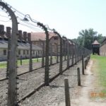 Auschwitz today